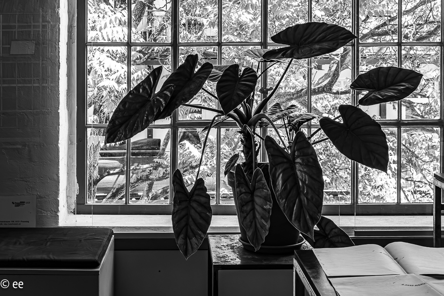 17_20220527-P1900054-2-Verbessert-RR