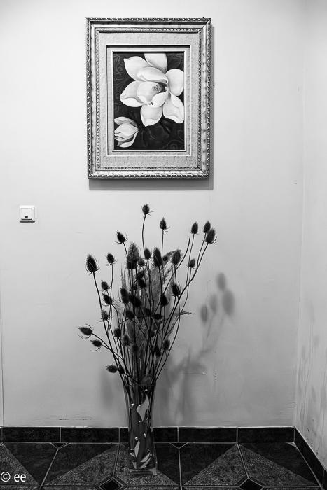 23_20220527-P1900152-2-Verbessert-RR