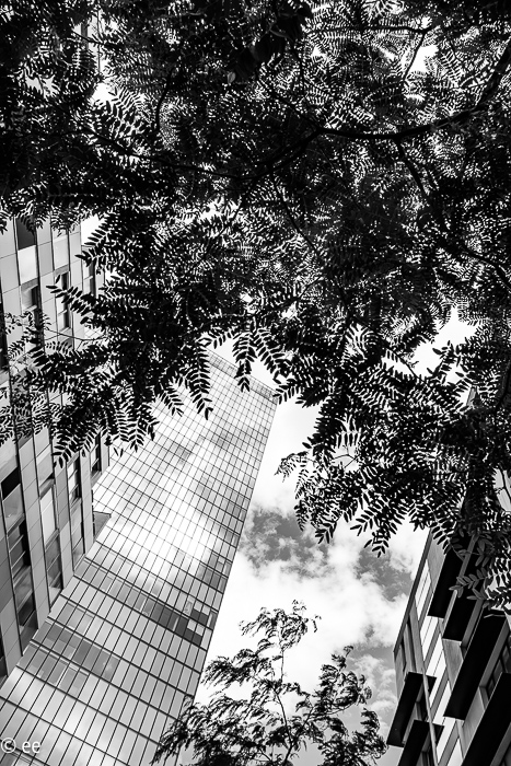 29_20220526-P1890842-2-Verbessert-RR