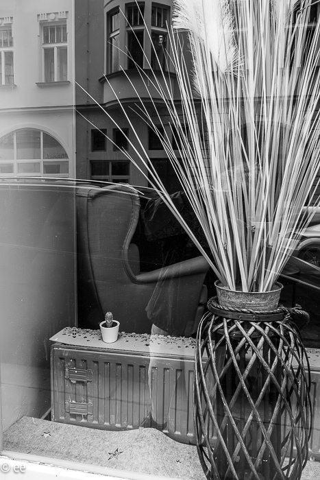 36_20220529-P1900471-Verbessert-RR