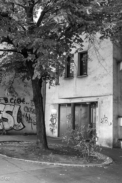 41_20220527-P1900072-2-Verbessert-RR