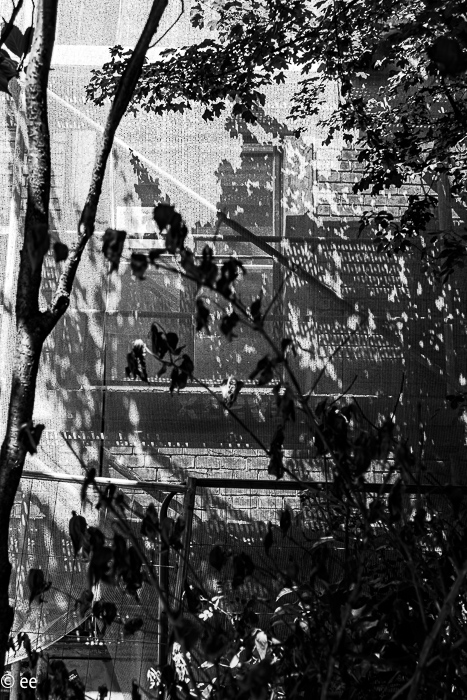 45_20220526-P1890735-2-Verbessert-RR