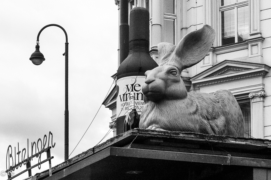 49_20220528-P1900182