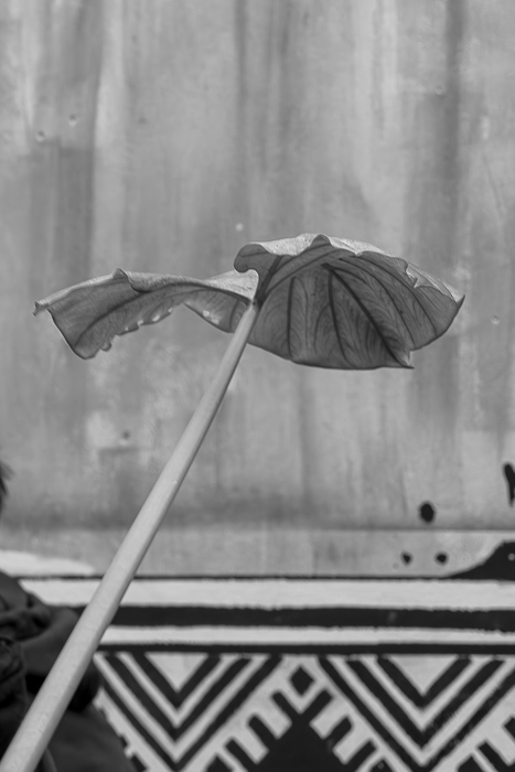 6_20220528-P1900418-Verbessert-RR