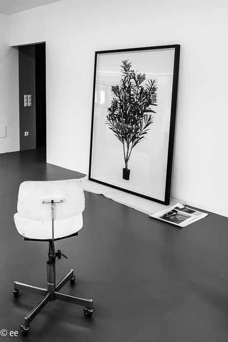 8_20220526-P1890833-2-Verbessert-RR