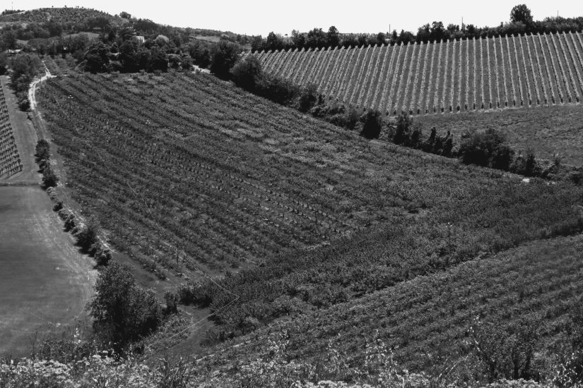 L1020008_sw