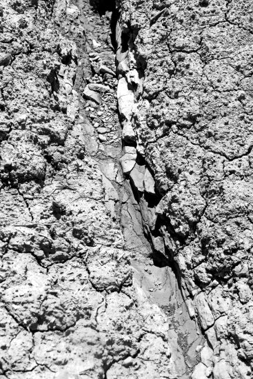 L1030028_sw