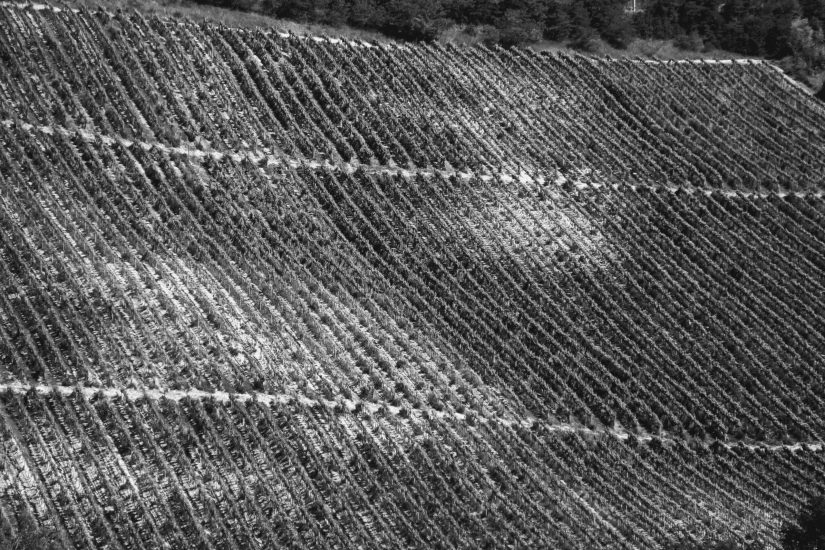 L1060015_sw