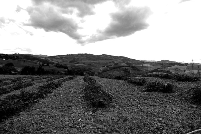 L1060219_sw