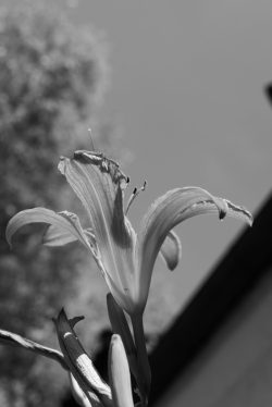 L1070242