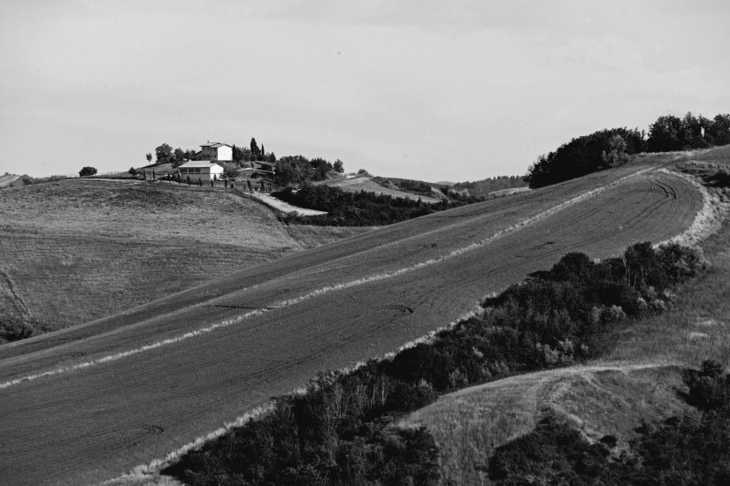 L9990801_sw