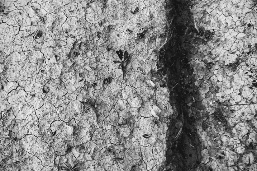 L9990847_sw