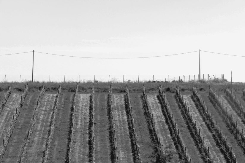 L9990942_sw
